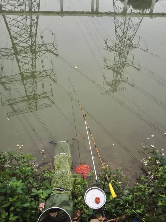 偷钓鱼触碰高压线图片