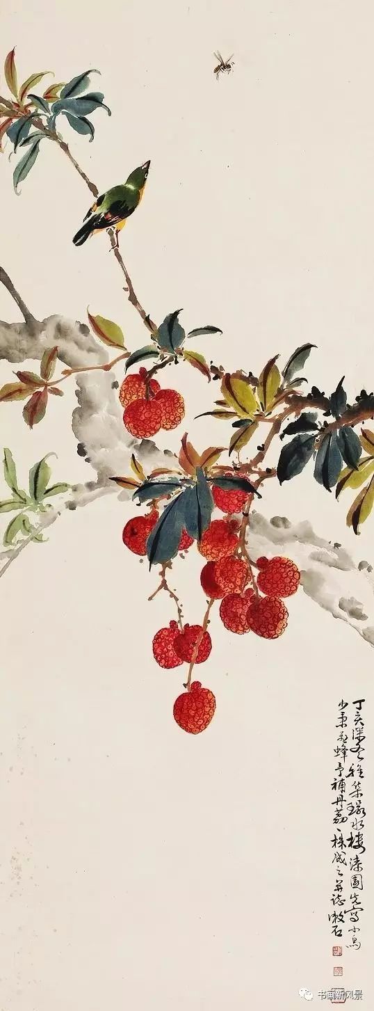 看这画,就知道岭南的荔枝熟啦!