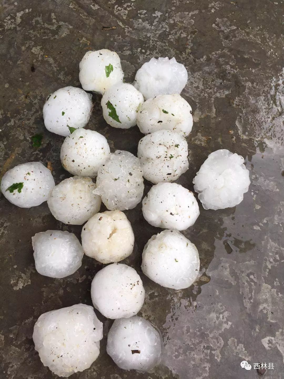 天灾广西西林县足别乡遭到严重大冰雹袭击