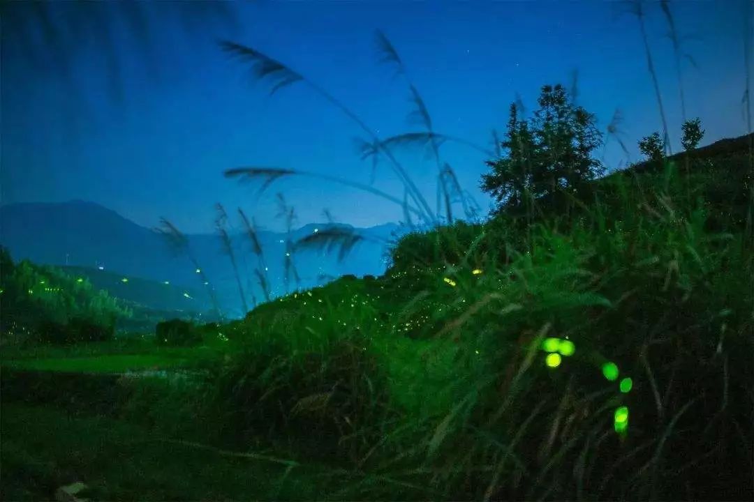 天色昏暗,月色朦朧,星光迷離,燈光燦爛,有是一片寂靜,田野裡,微風吹拂