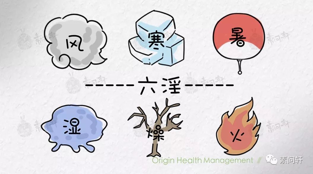 而是中医对六种外感病邪的统称:风,寒,暑,湿,燥,火这六淫不是指坑蒙
