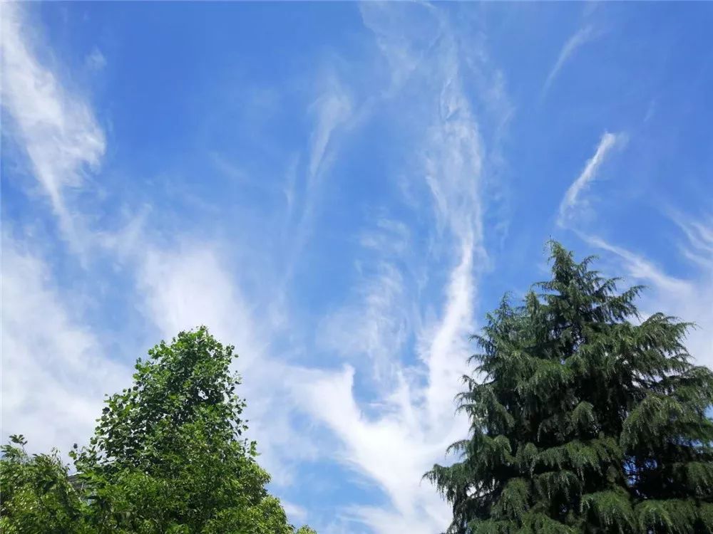 碧空如洗,白云点点的遥想前几前天的常州突然开始怀念蓝天白云晴空