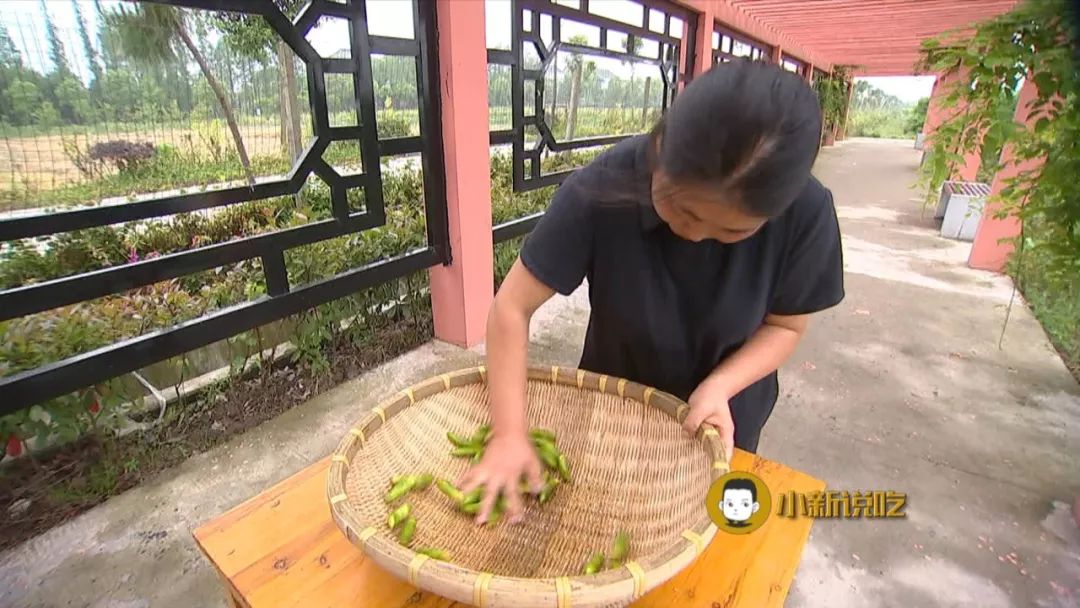 嘉兴滋味:新仓小落苏
