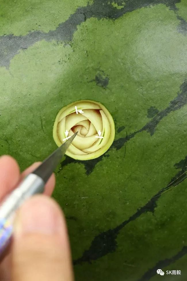 西瓜三瓣花--周毅重磅推荐基础高清视频 图文教程_花瓣