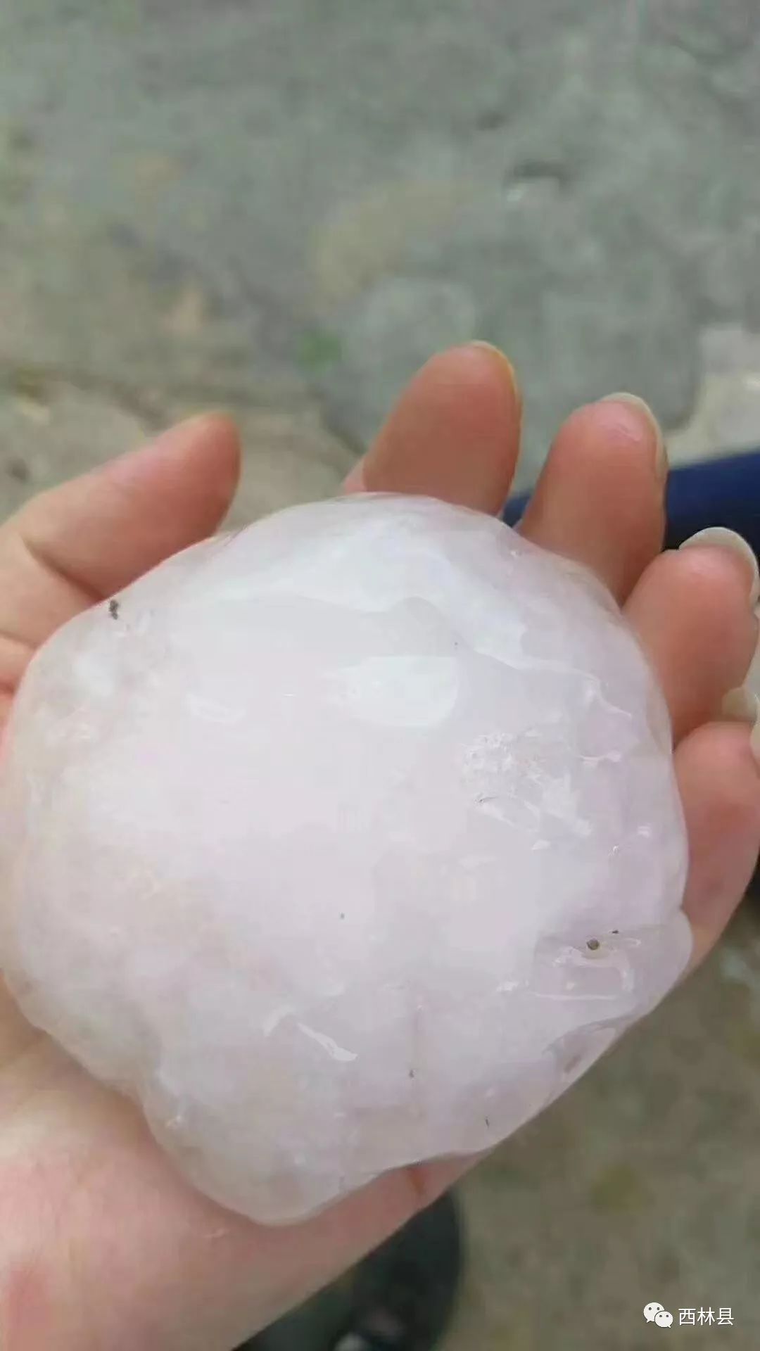 天灾广西西林县足别乡遭到严重大冰雹袭击