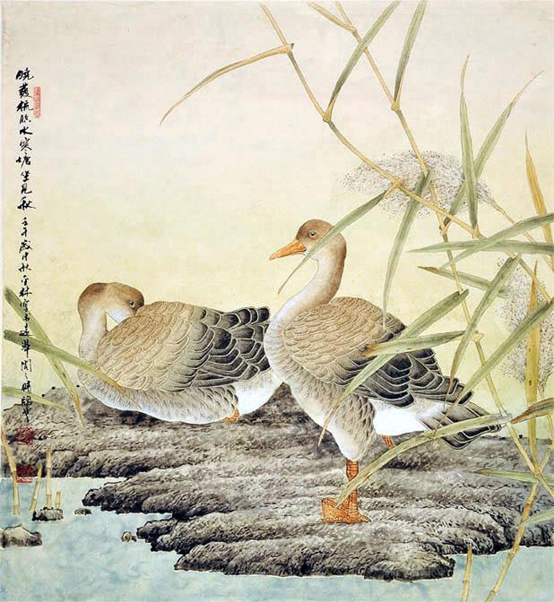 鲁金林画家《花鸟家禽 生灵之趣》