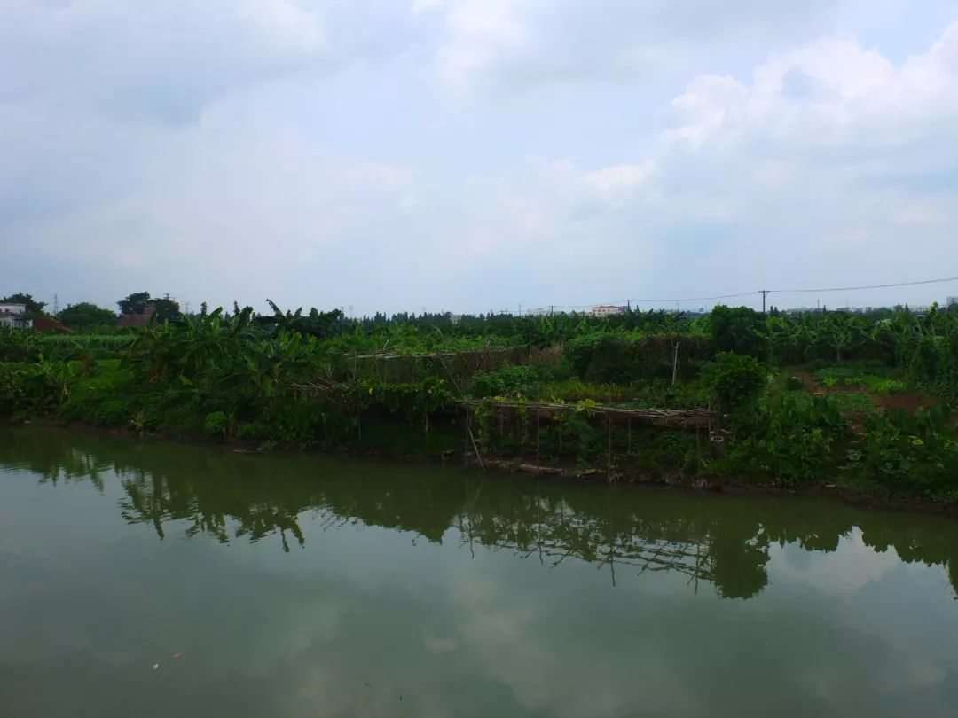 图说顺德|勒流众涌村