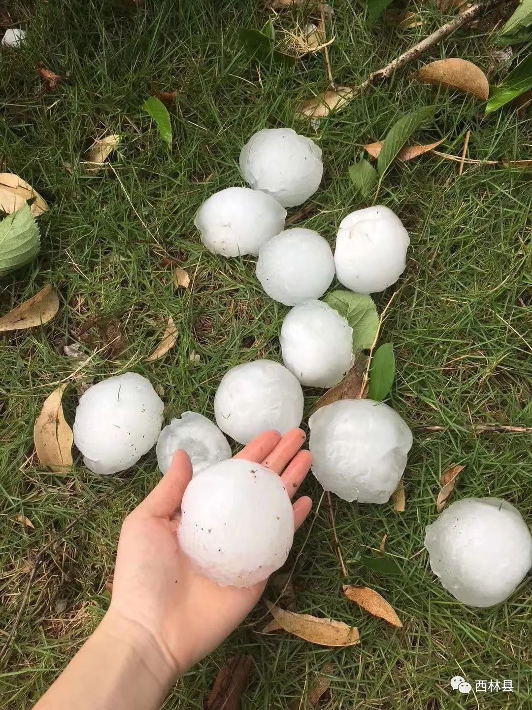 天灾广西西林县足别乡遭到严重大冰雹袭击