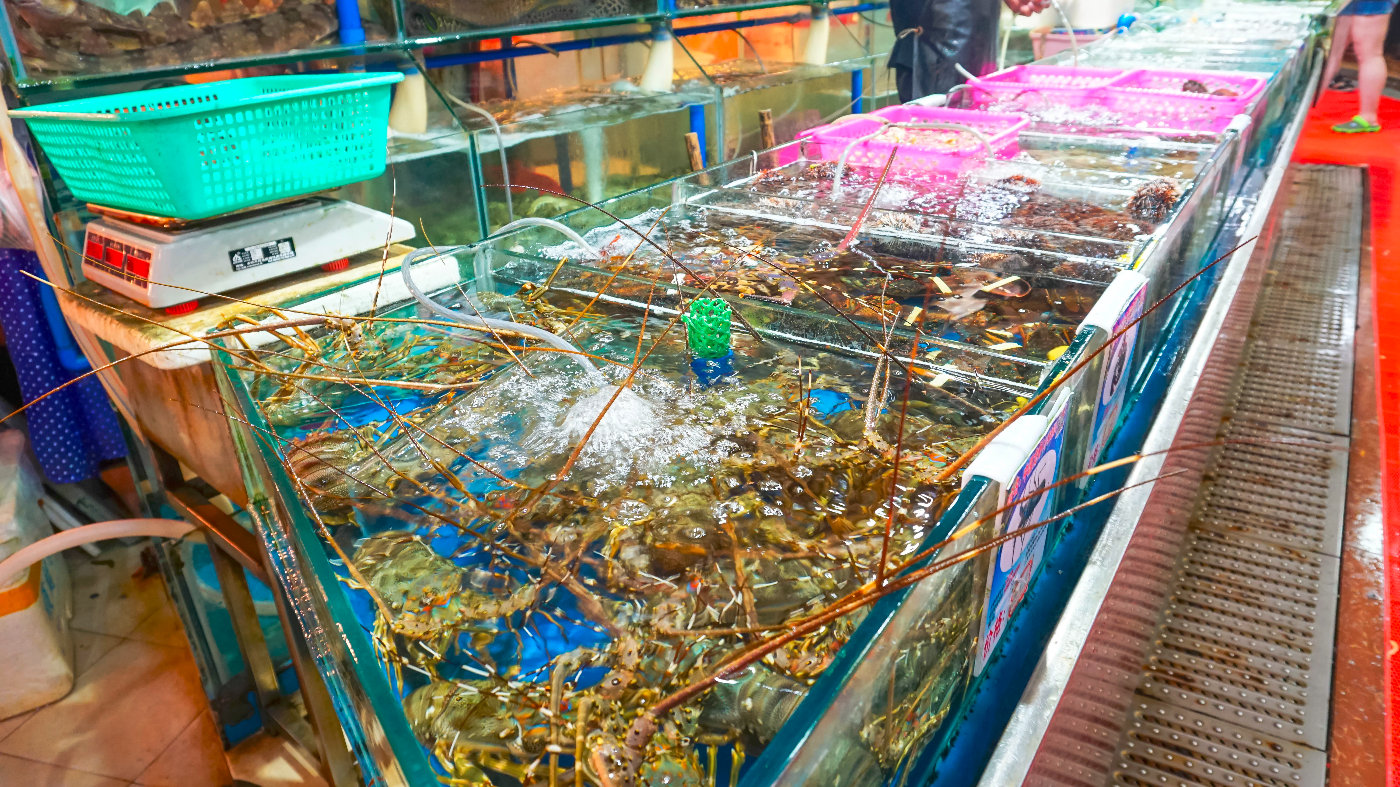三亚码头海鲜市场图片