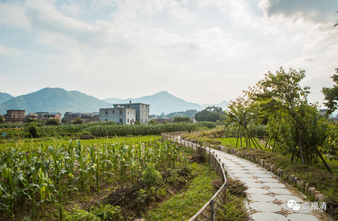 福清西部藏着一个美丽的村子,这个周末我们在这里"寻宝".