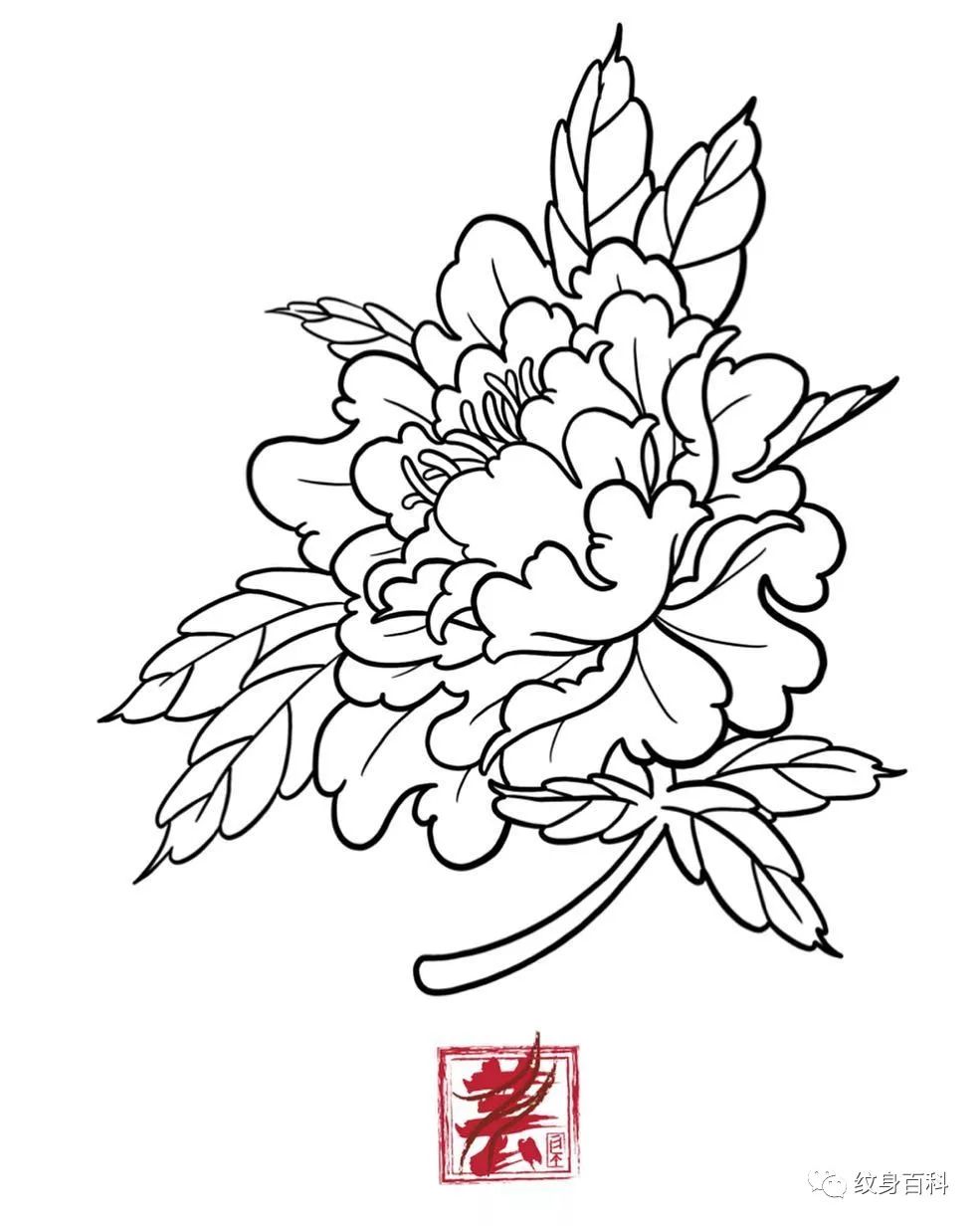 纹身比较实用的割线手稿