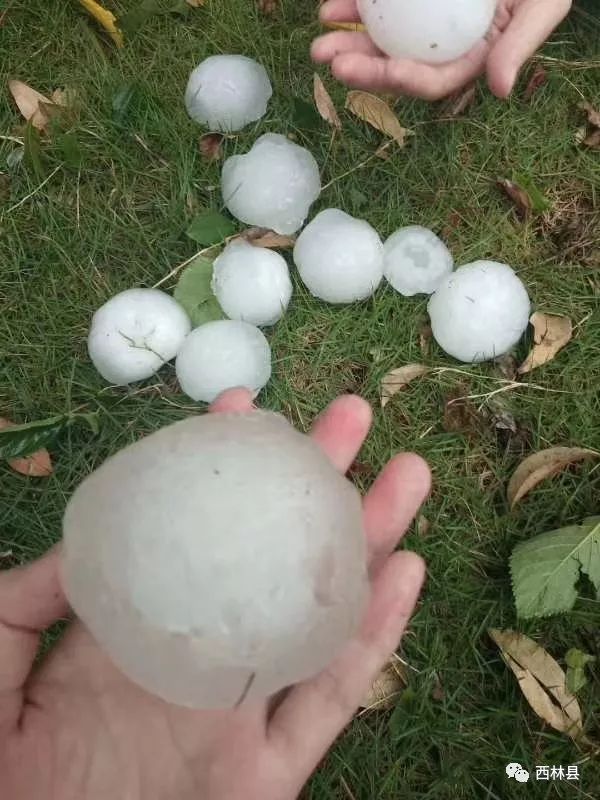天灾广西西林县足别乡遭到严重大冰雹袭击