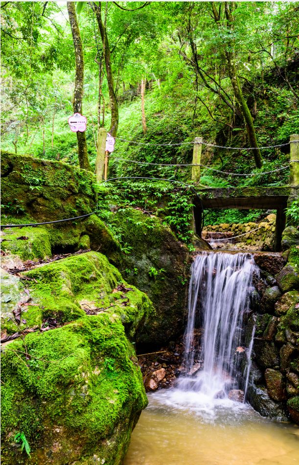 【福利来袭】仅需99元,购买培斜六大网红景点!