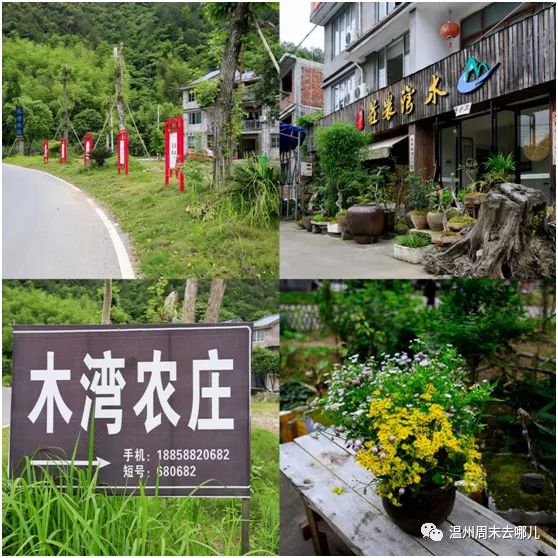 泰顺南浦溪"网红打卡点"!你去过几个.
