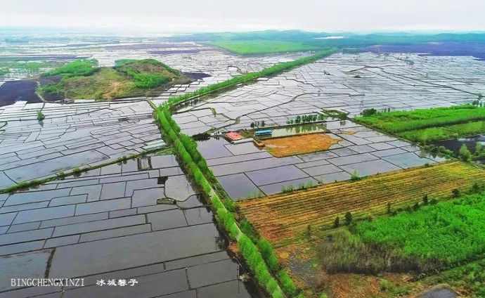 鸟瞰黑龙江|知道黑龙江春播时的水稻田有多美吗?