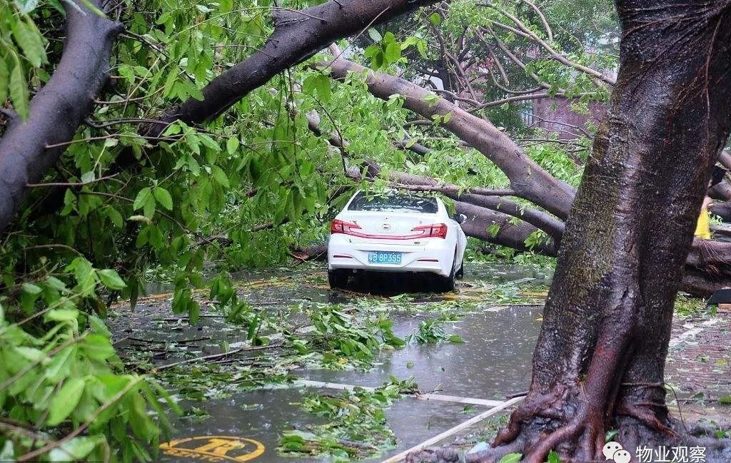 物业大风暴雨应急处理预案