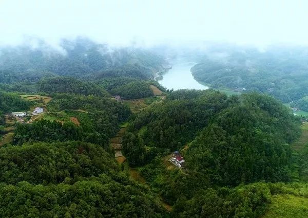 人物 石泉李定山 凤凰山下的护林员