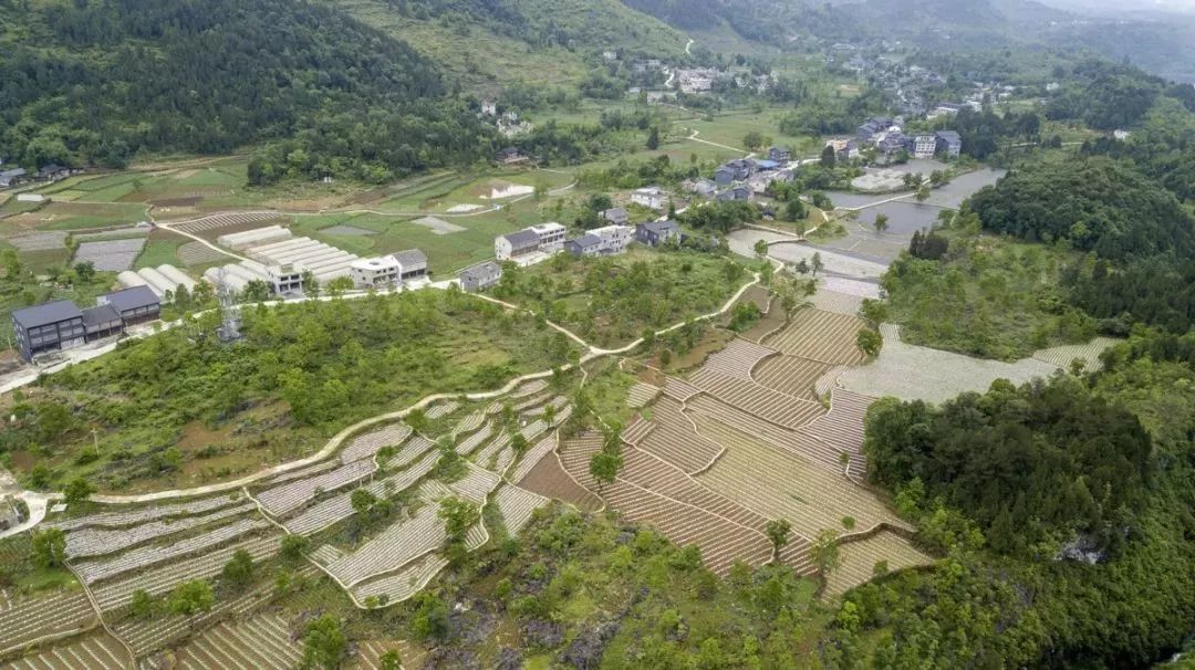 務川甘禾壩區擁抱現代農業