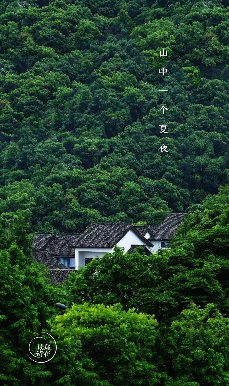 讀詩:潘騰飛| 公交車長製作:昊翔山中一個夏夜,深得象沒有底一樣黑影