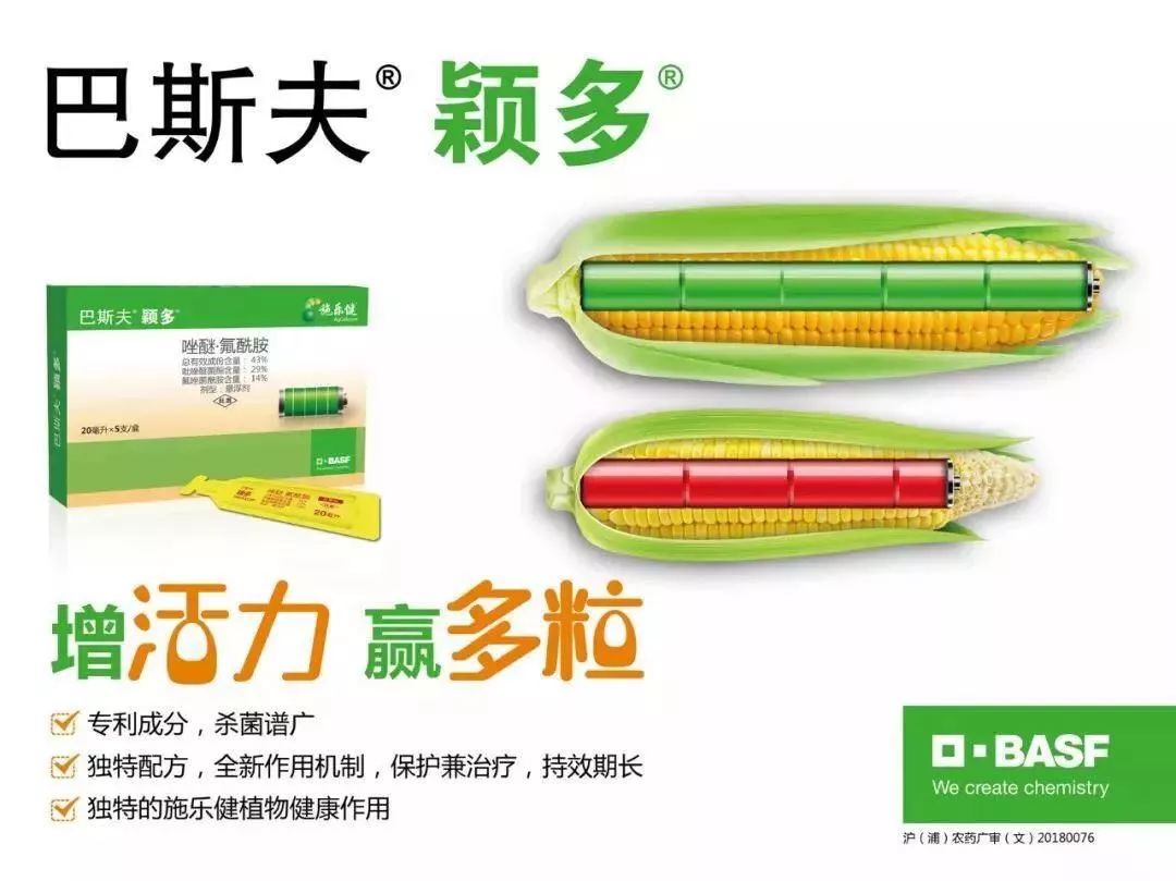 巴斯夫专利新品颖多03重磅上市全面发力中国大田杀菌剂市场