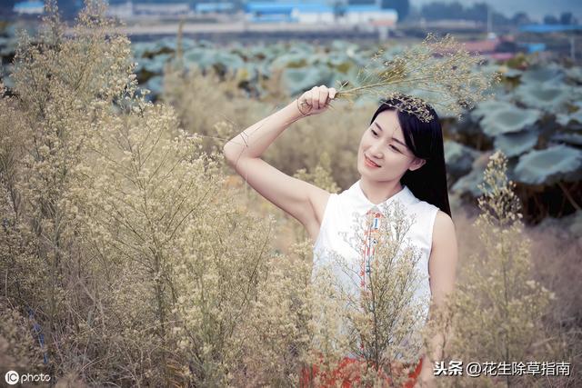 山东临沂莒南相沟石崖海花通米收3.90-4.00元,7筛上精米4.