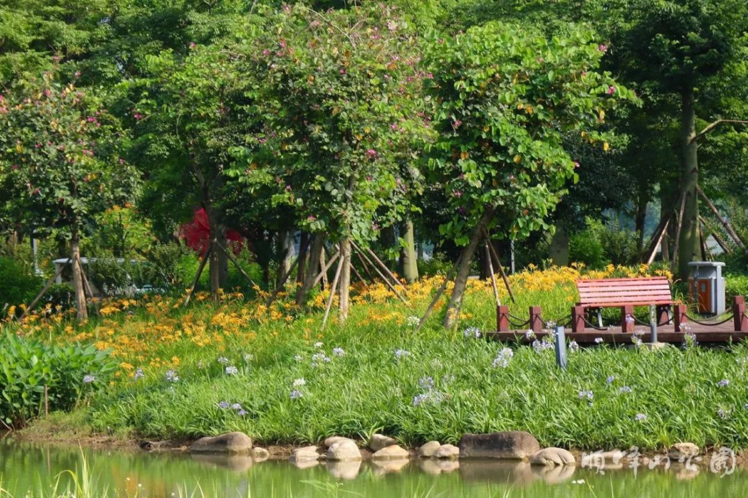 顺峰山公园湿地花海图片