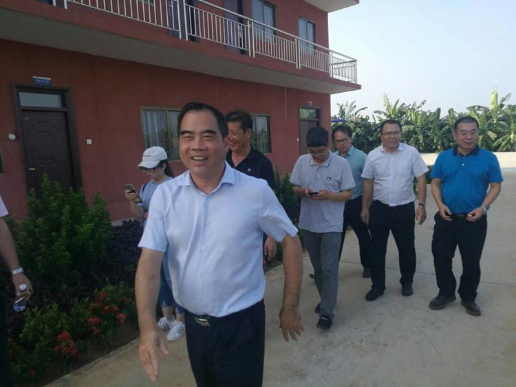 县委书记余庆创到杨柑镇调研扫黑除恶和农村人居环境整治工作