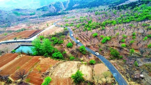 翠鸟语又有蜿蜒长城大理石长城白羊峪长城还有白羊河潺潺流过西部绿道