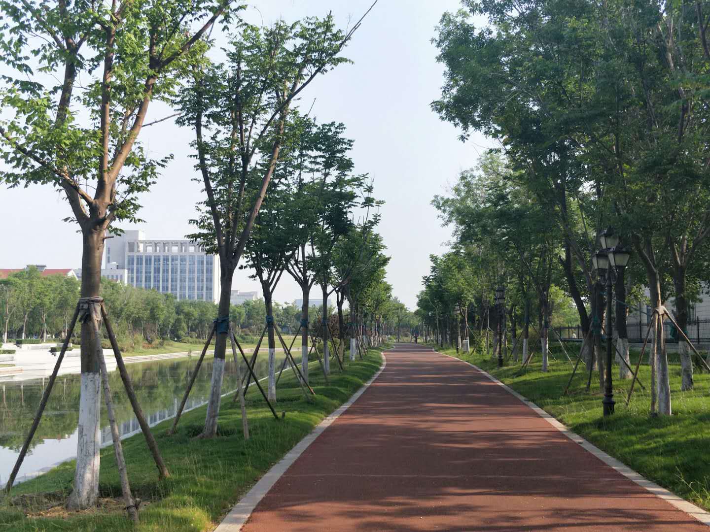 大美东营赛江南美不胜收沿河公园现奇观