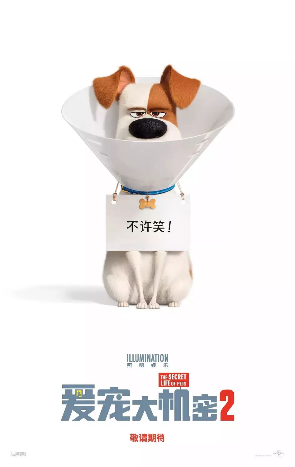 爱宠大机密2定档7月5日萌宠天团爆笑回归