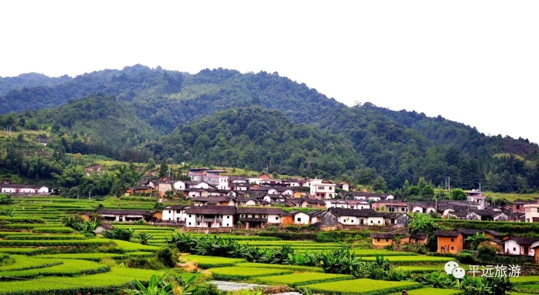 广东十大乡村旅游景区图片