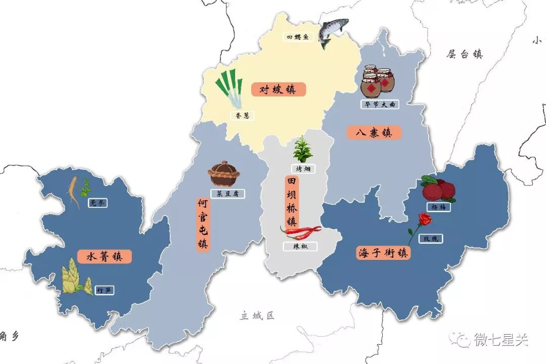 5张趣味地图让你秒懂七星关各乡镇特色