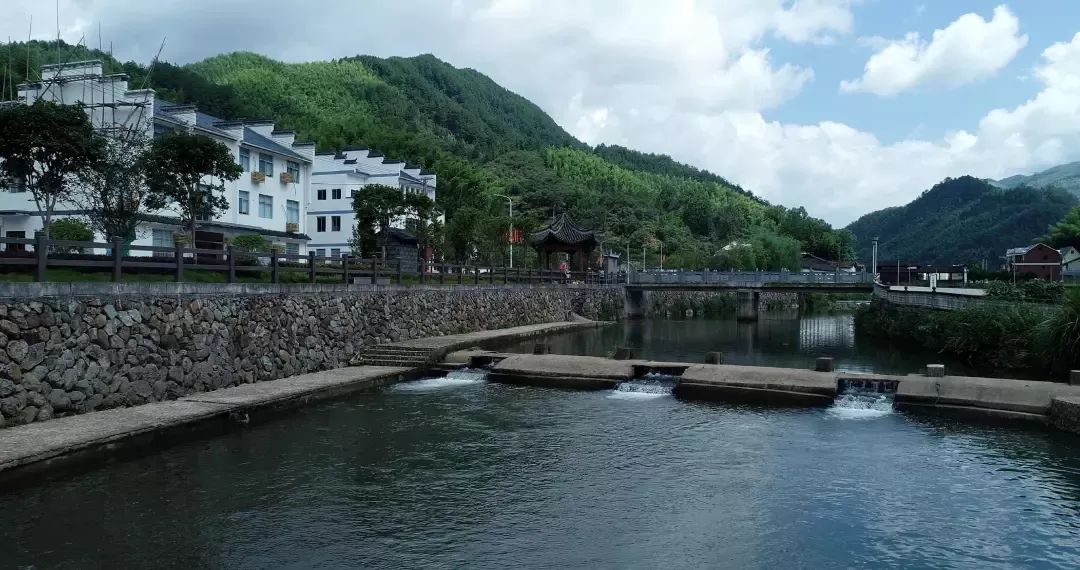 会主任陈正丰的努力陈正丰龙泉市城北乡东书村村委会主任为村里做事