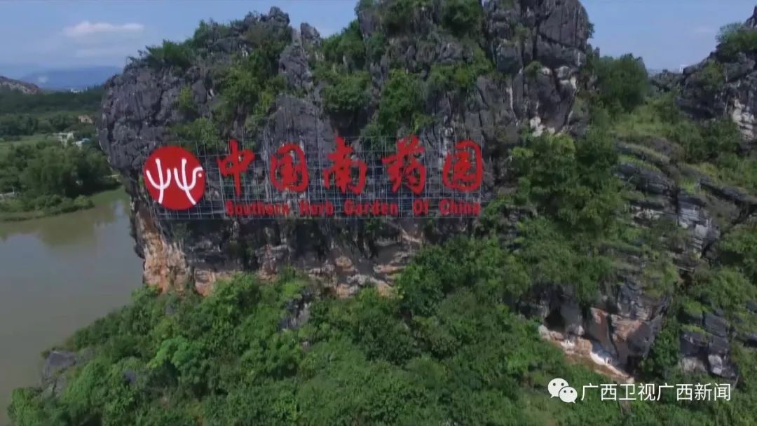 12万亩,吸引了中国南药园等一批重大项目落地生根,如今玉林银丰国际