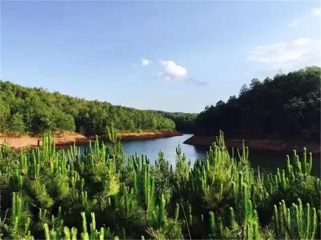 湖大姚蜻蛉湖水利风景区以蜻蛉湖为中心,与周边东塔湖,白湖湖及永丰湖