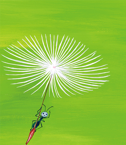 这个夏天跟着徐鲁老师去寻找蒲公英的秘密