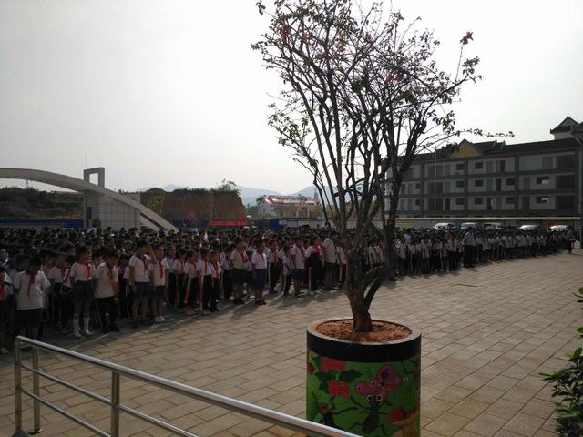 城镇派出所到勐腊县第一小学参加20182019年下学期青少年法制宣传教育