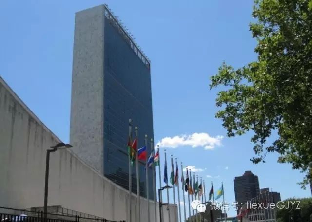 长篇连载 | 雷霆反击(国家意志)第十~十一章_林淮生