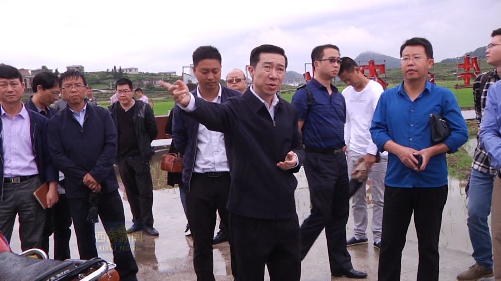 区委副书记,区长陈天一,区委副书记,区委政法委书记任小生,区委常委