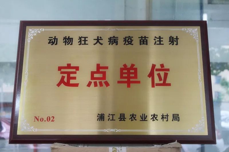 从事动物诊疗活动的机构,应当取得动物诊疗许可证,并在规定的诊疗活动