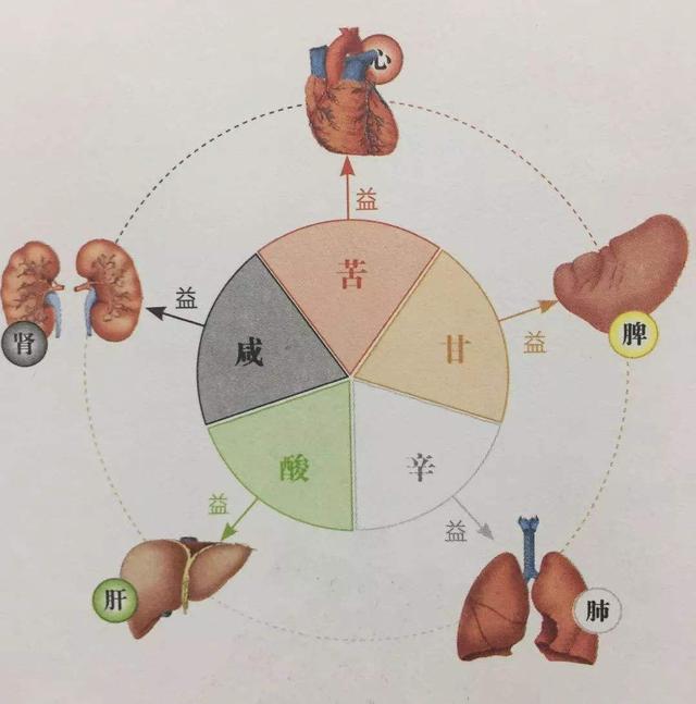 酸走筋辛走气吃东西前要看看五味的走向