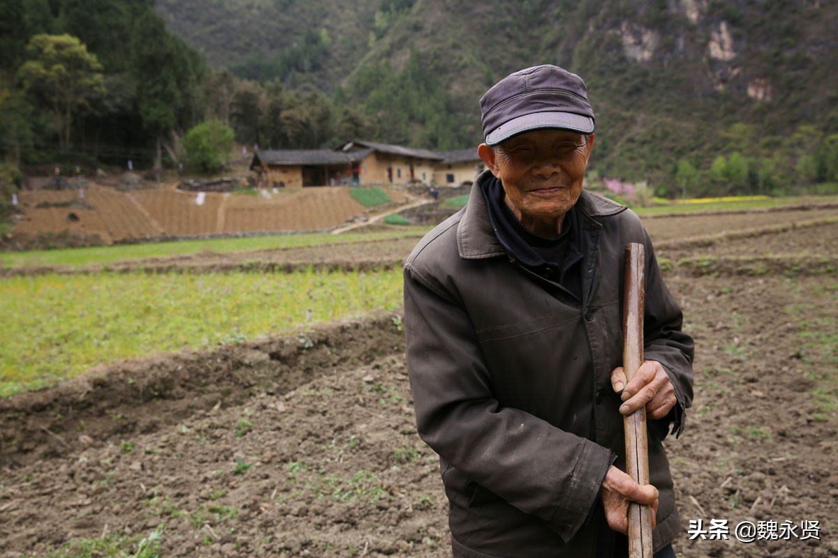 生活在大山里的八旬老人,能走路就要种地,种不动水稻种玉米土豆