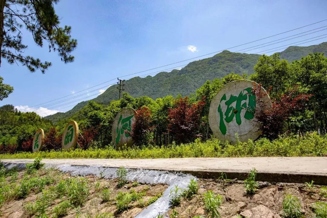 莒溪华丽转变惊艳了整个苍南