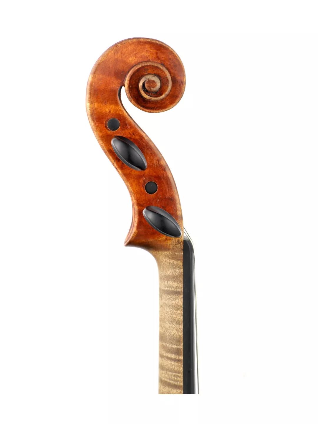 背面正面朱赛佩·菲奥里尼 小提琴 1913年violin by giuseppe fiorini