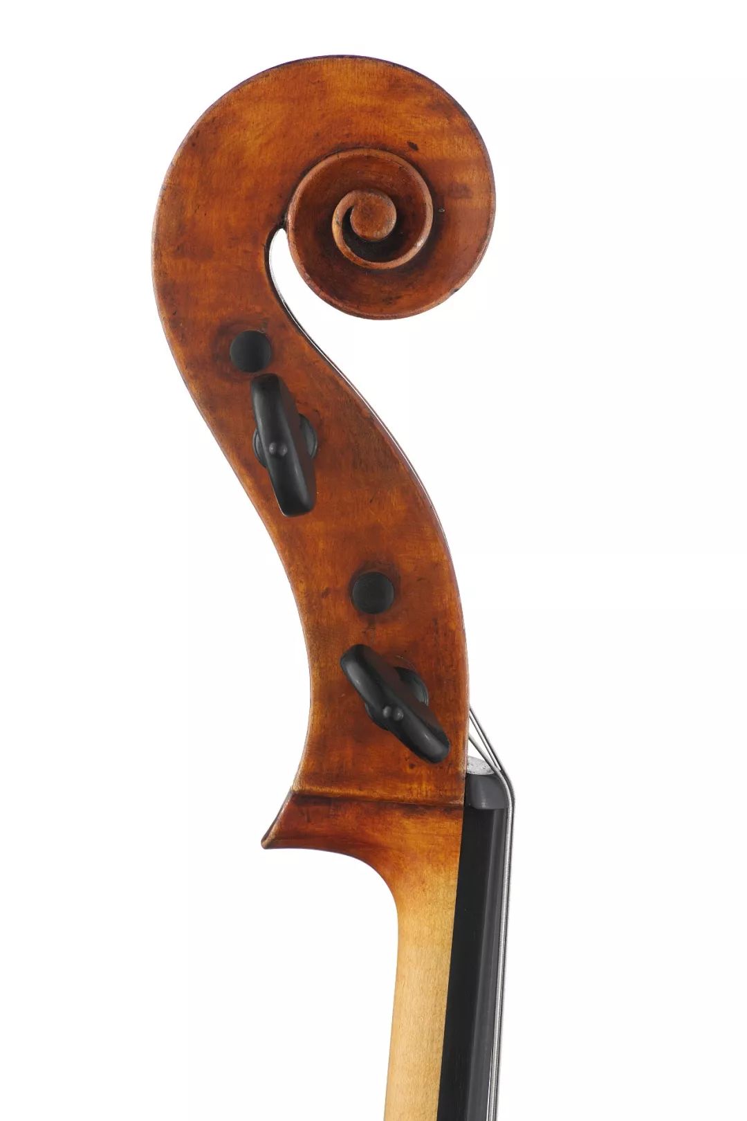背面正面朱赛佩·菲奥里尼 大提琴 1893年cello by giuseppe fiorini
