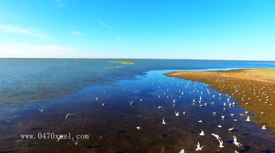 呼伦贝尔百科达赉湖有多大看了就知道了