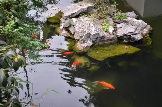 養生禪樂空山寂寂清水悠悠