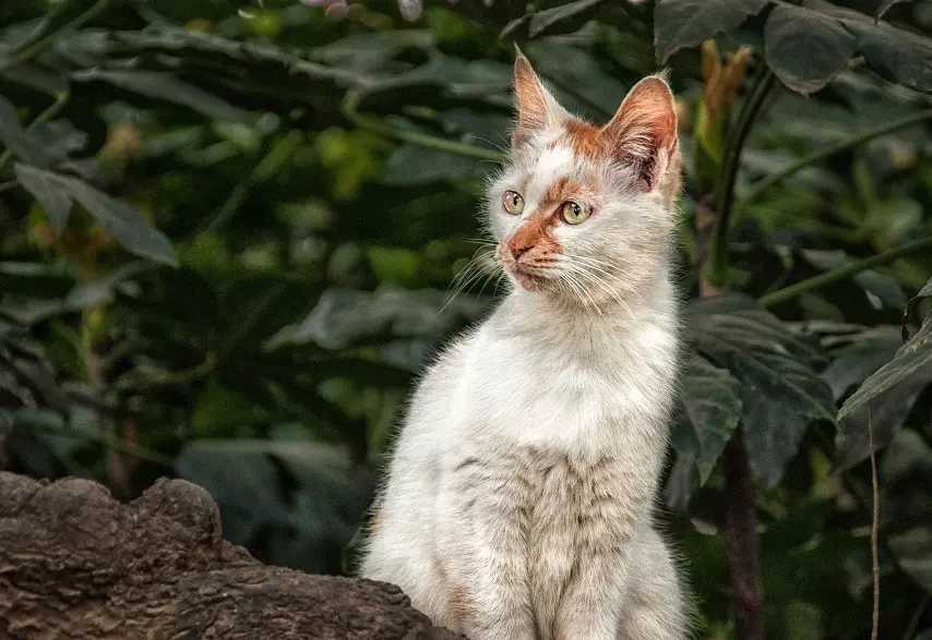 原创开心一刻:晚上,哥哥和嫂子因一些小事吵了起来,结果越演越烈