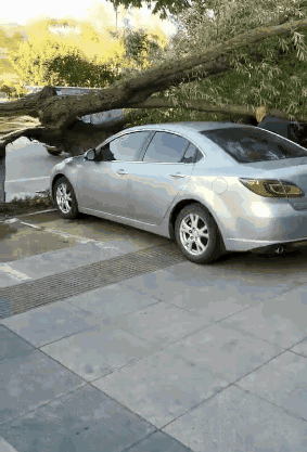 283_417竖版 竖屏gif 动态图 动图