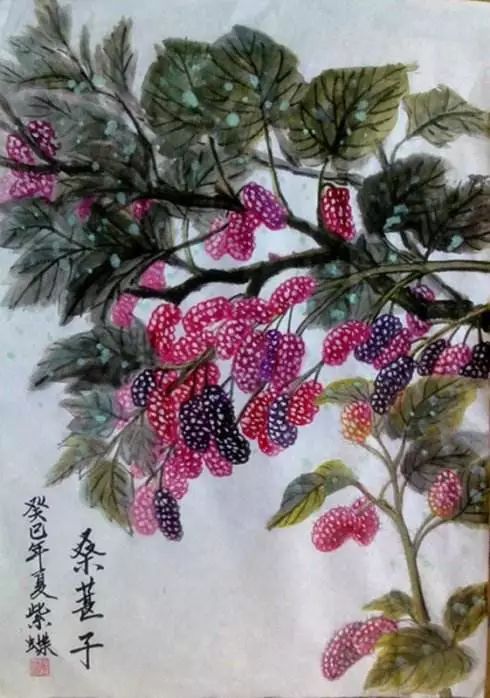 桑葚熟了采摘正当时